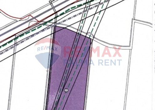Palma rentPoljoprivredno-zemljiste-tarno-246.731.00-m2-slika-218401052