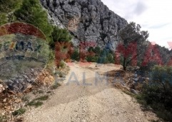 Palma rentPoljoprivredno-zemljiste-makarska-5895-m2-slika-222552535