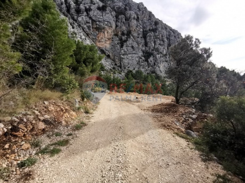 Palma rentPoljoprivredno-zemljiste-makarska-5895-m2-slika-222552535