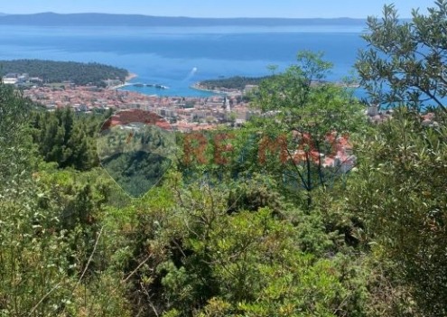Palma rentPoljoprivredno-zemljiste-makarska-4701-m2-slika-223594819