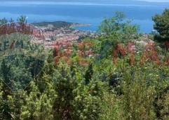 Palma rentPoljoprivredno-zemljiste-makarska-4701-m2-slika-223594835