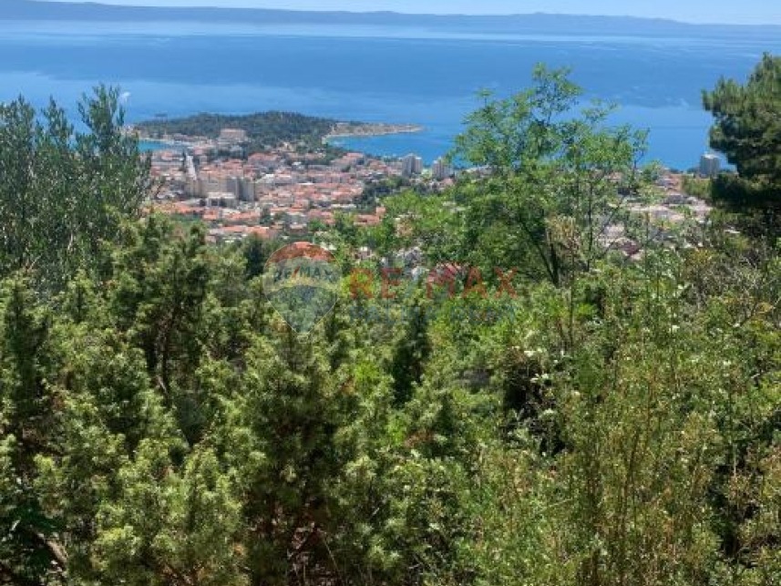 Palma rentPoljoprivredno-zemljiste-makarska-4701-m2-slika-223594835