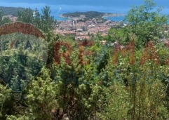 Palma rentPoljoprivredno-zemljiste-makarska-4701-m2-slika-223594836