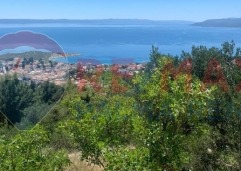 Palma rentPoljoprivredno-zemljiste-makarska-4701-m2-slika-223594837