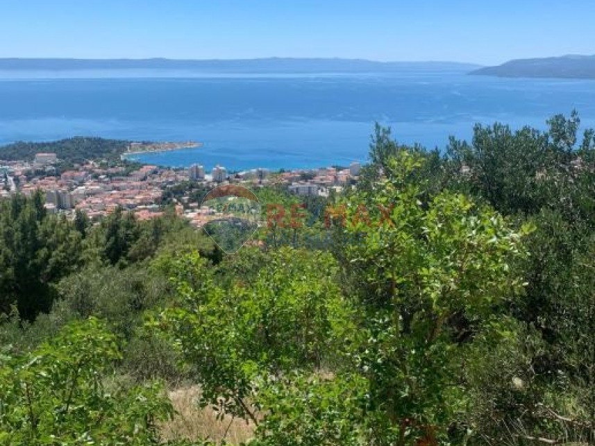 Palma rentPoljoprivredno-zemljiste-makarska-4701-m2-slika-223594837