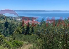 Palma rentPoljoprivredno-zemljiste-makarska-4701-m2-slika-223594838