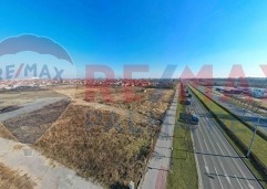 Palma rentDji 0841