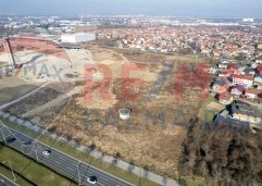 Palma rentDji 0849