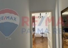 Palma rentImg-0962