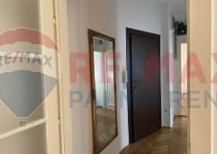 Palma rentImg-0963