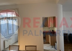 Palma rentImg-0966
