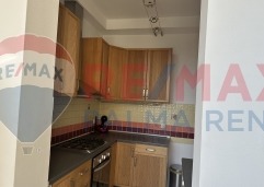 Palma rentImg-0967