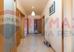 Palma rent mg 2392 (1)