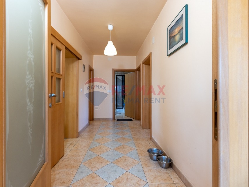 Palma rent mg 2392 (1)