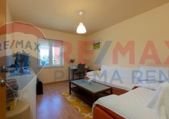 Palma rent mg 2393 (1)