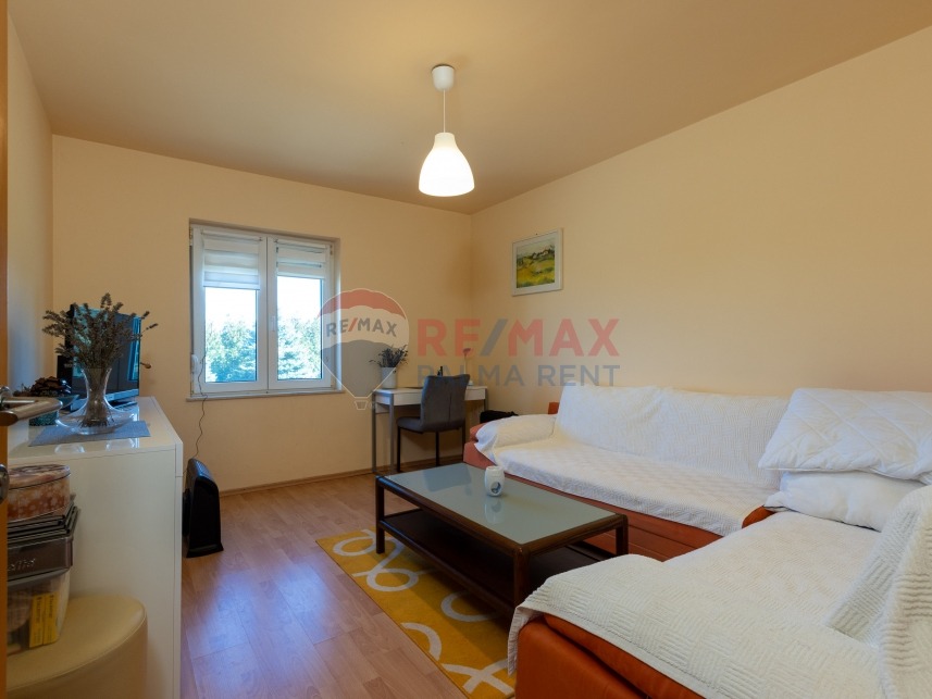 Palma rent mg 2393 (1)