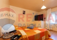 Palma rent mg 2397 (1)