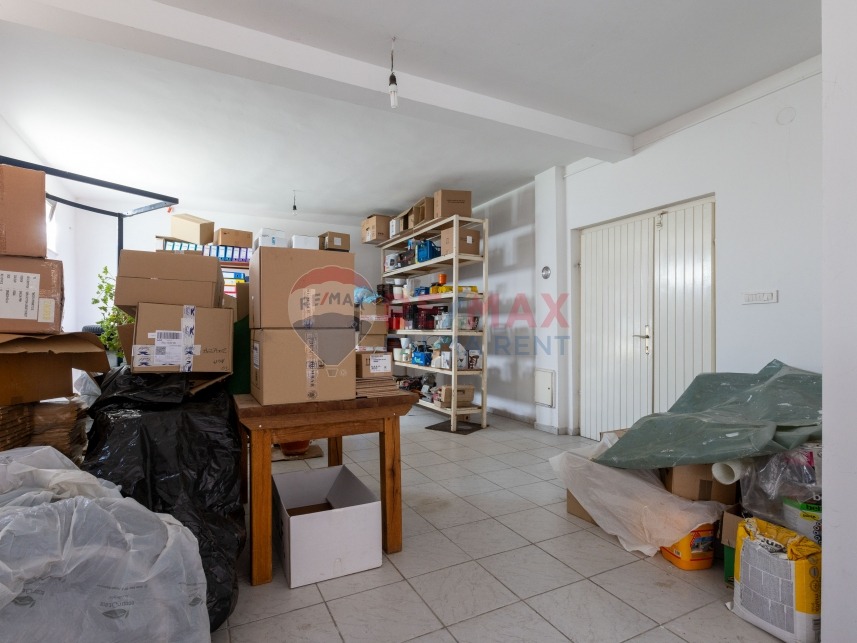 Palma rent mg 2671
