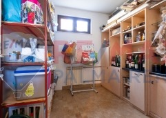 Palma rent mg 2677