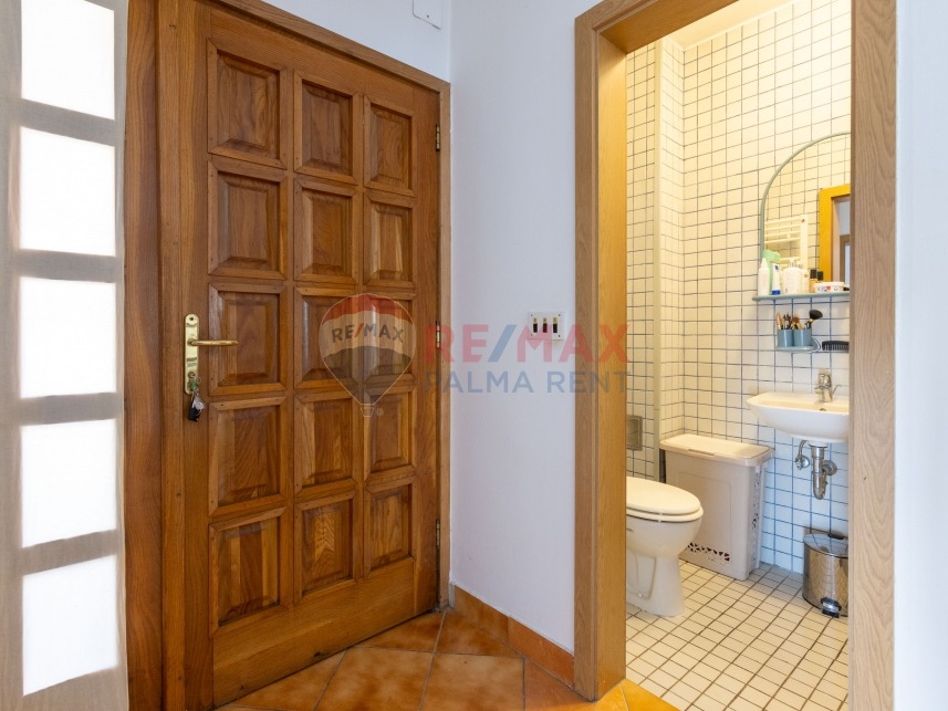 Palma rent mg 2683