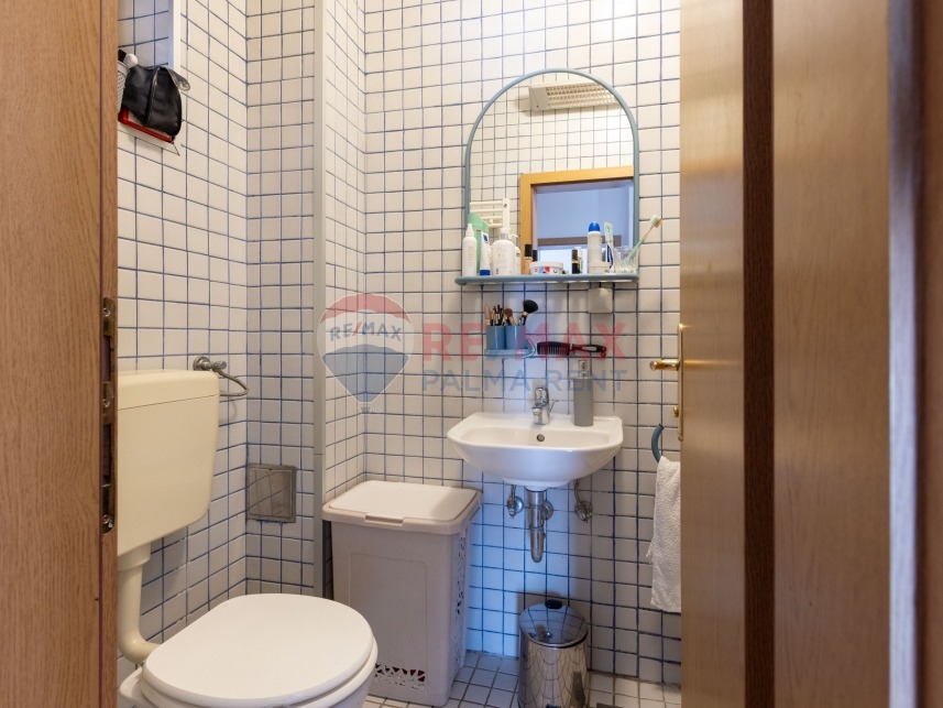 Palma rent mg 2684