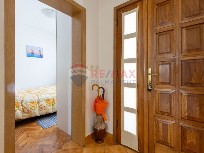 Palma rent mg 2686