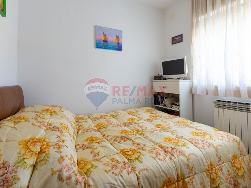 Palma rent mg 2688