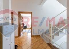 Palma rent mg 2689