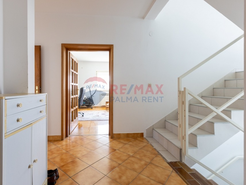 Palma rent mg 2689