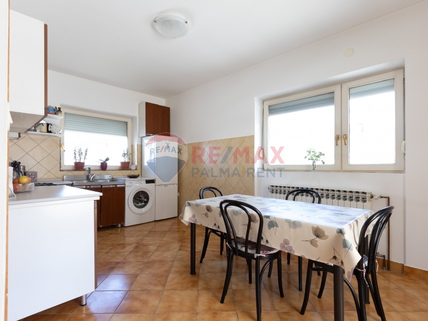 Palma rent mg 2701