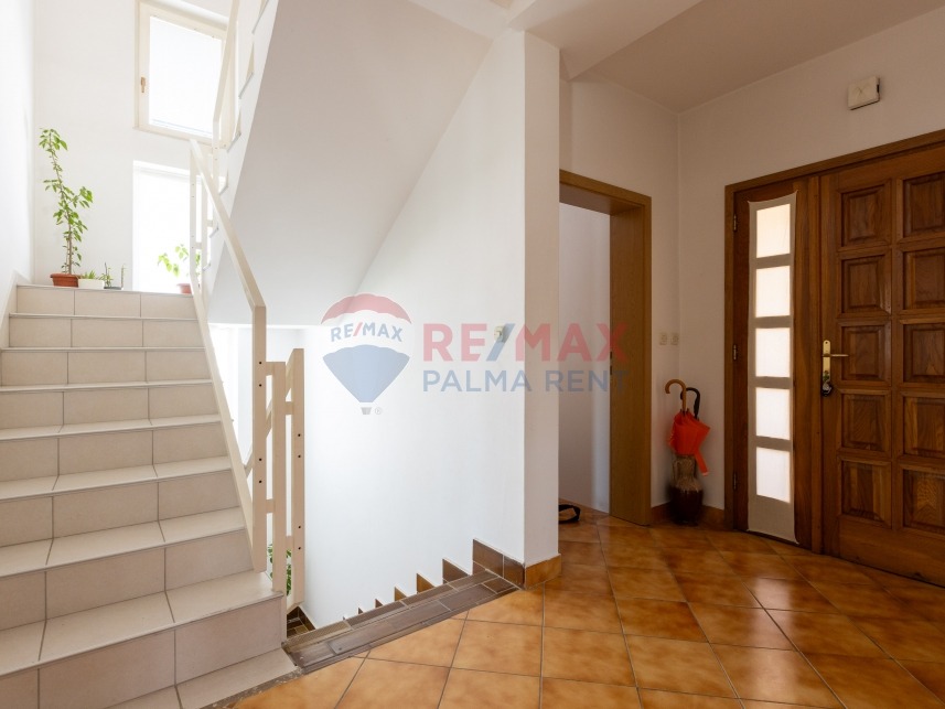 Palma rent mg 2716
