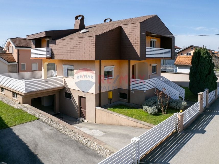 Palma rentDji 0225