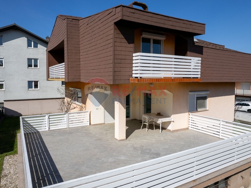 Palma rentDji 0232