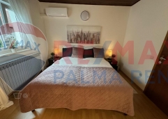 Palma rent503319230