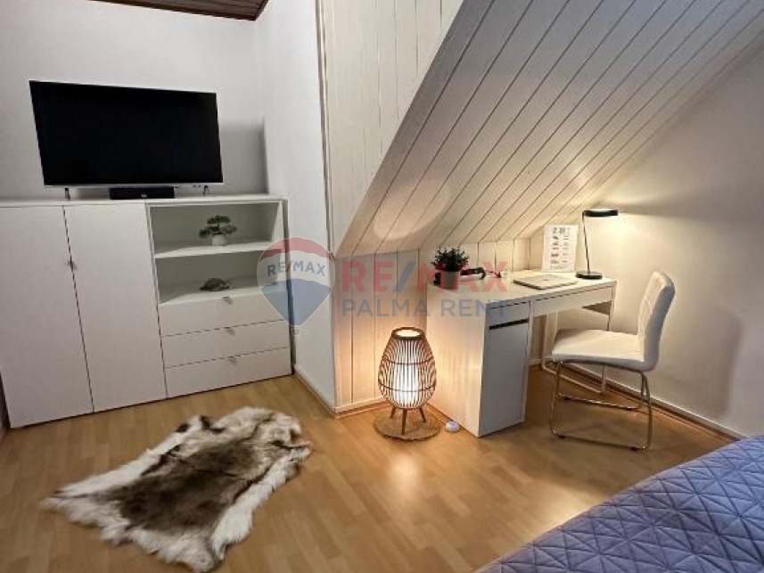 Palma rent503319326