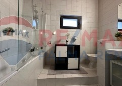 Palma rent503320121