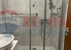 Palma rent503320280