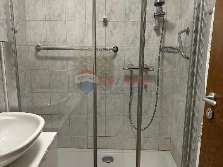 Palma rent503320280