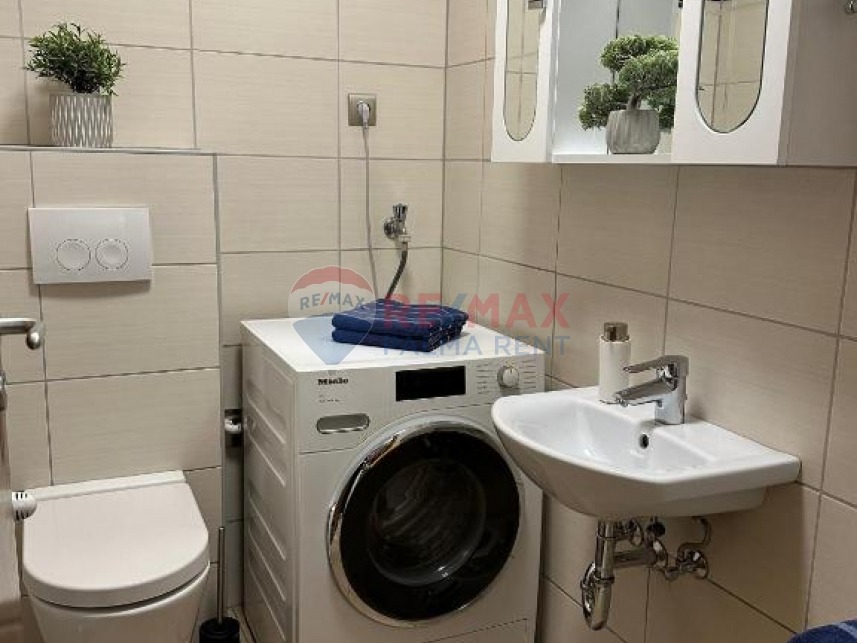 Palma rent503320567