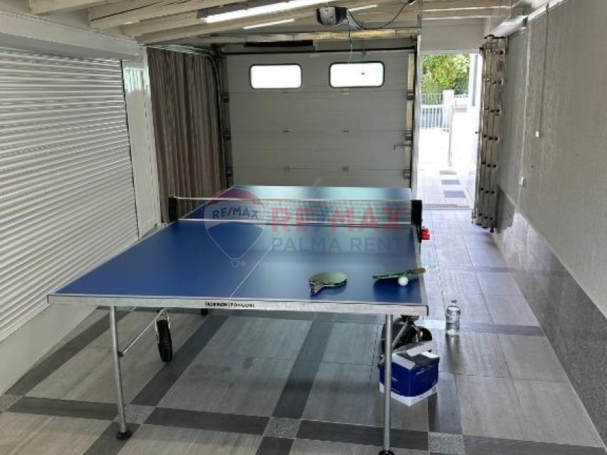 Palma rent503329053