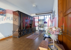 Palma rentBukovacka-19