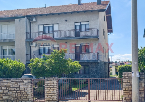 Palma rentBukovacka-1