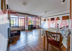 Palma rentBukovacka-21