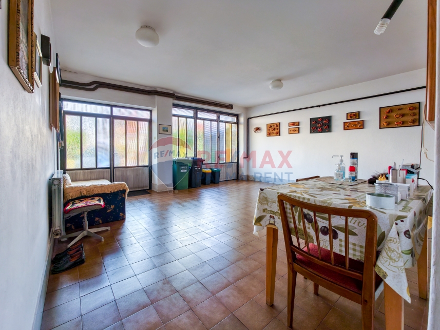 Palma rentBukovacka-21