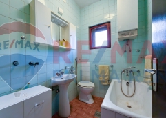 Palma rentBukovacka-26