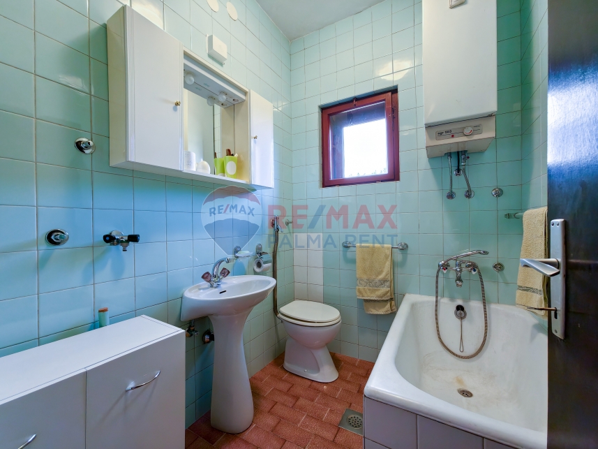 Palma rentBukovacka-26