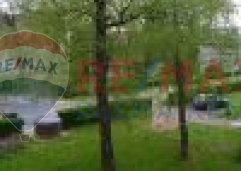 Palma rentImg 20250414 124256 1  small