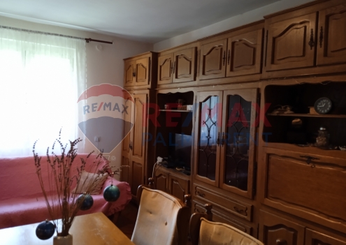 Palma rentImg 20250801 124319