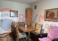 Palma rentImg 20250801 124346