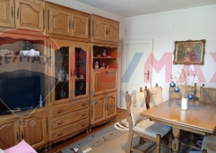 Palma rentImg 20250801 124408